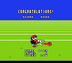 Yoshi no Tamago (JP)