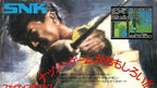 Fighting Golf (JP)