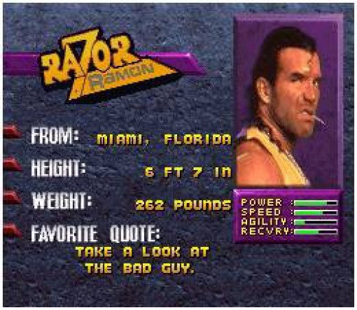 WWF Wrestlemania: The Arcade Game (JP)