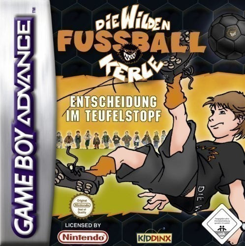 Die wilden Fussball-Kerle: Entscheidung im Teufelstopf