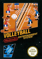 Volleyball