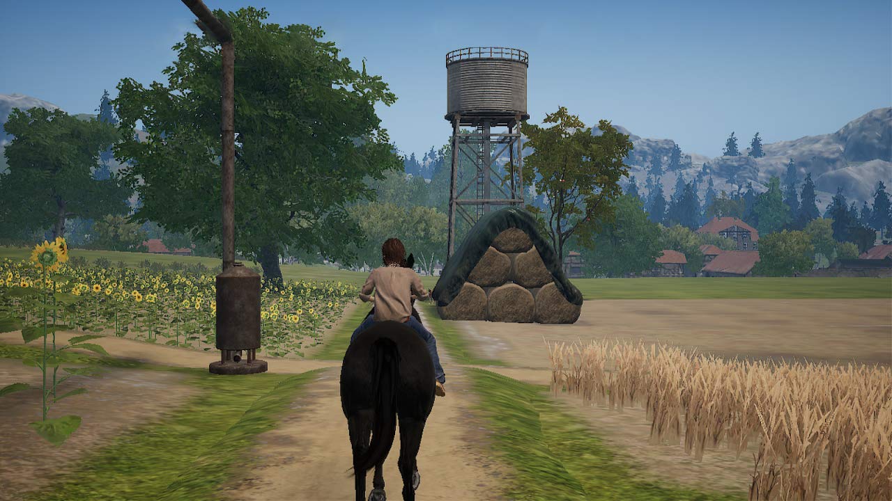 Ostwind Aris Ankunft (DE)