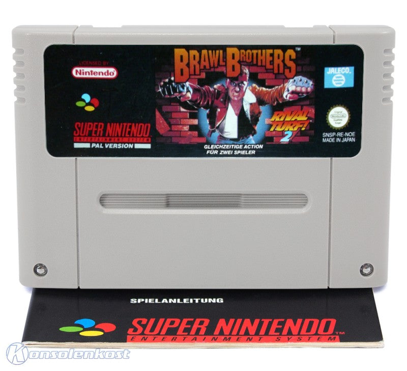 Brawl Brothers: Rival Turf 2