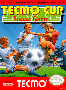 Tecmo Cup Football Game (ES)