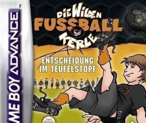 Die wilden Fussball-Kerle: Entscheidung im Teufelstopf