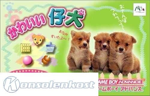 Kawaii Koinu (JP)