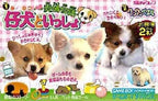 Koinu to Issho! (JP)