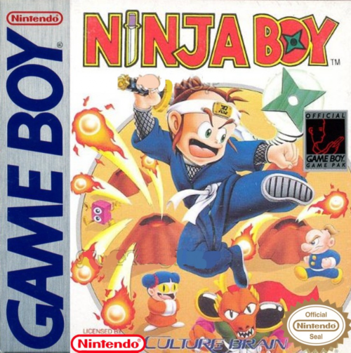 Ninja Boy 1