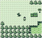 Ninja Boy 2 (US)