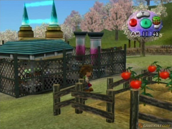 Harvest Moon: A Wonderful Life (GB)