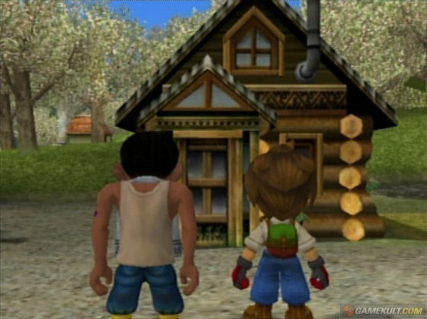 Harvest Moon: A Wonderful Life (US)