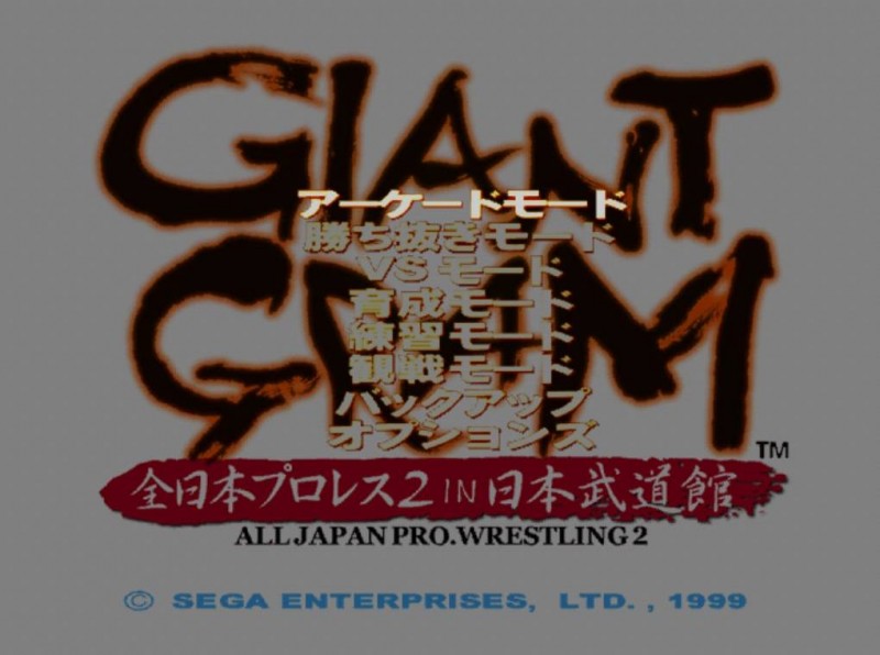 Giant Gram: All Japan ProWrestling 2 (JP)