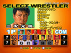 Giant Gram: All Japan ProWrestling 2 (JP)