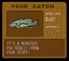 Super Black Bass (JP)