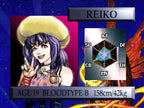 Dual Heroes (JP)