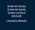 World Cup USA 94 (JP)