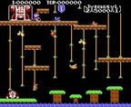 Donkey Kong Jr. (JP)