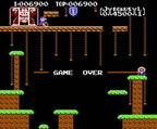 Donkey Kong Jr. (JP)