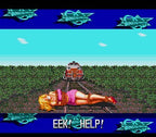 Sonic Blast Man (JP)