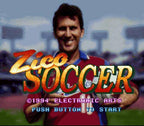 Zico Soccer (JP)