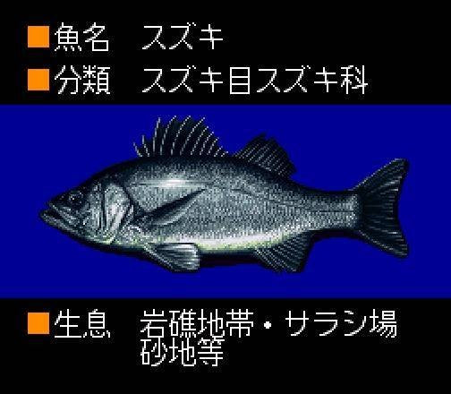 Umi Tsuri Mejin: Suzuki Hen (JP)