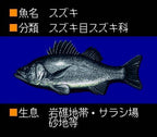 Umi Tsuri Mejin: Suzuki Hen (JP)
