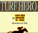 Turf Hero (JP)