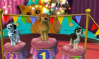 Drei Hunde stehen in Hunde & Katzen 3D-Tierisch verspielt auf einem Siegerpodest bei einem Wettbewerb.