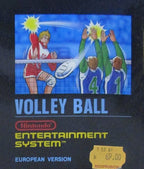 Volleyball Bienengräber