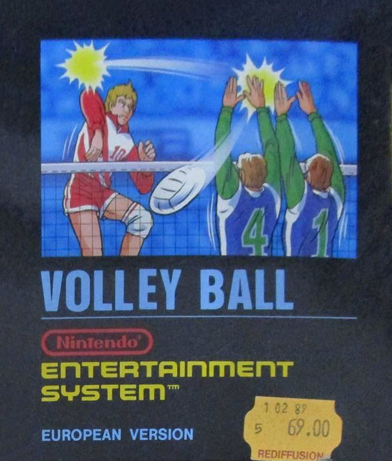 Volleyball Bienengräber