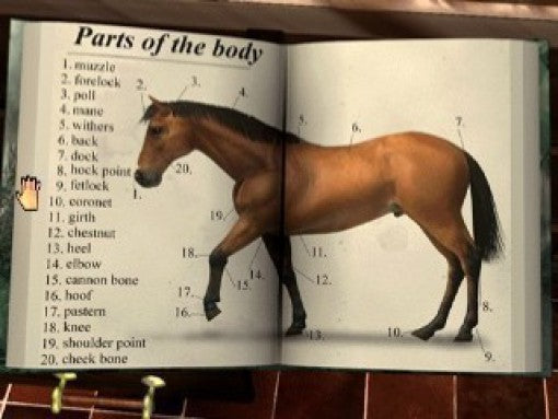 Ein offenes Buch zeigt eine schematische Darstellung der Anatomie eines Pferdes mit nummerierten Körperteilen.