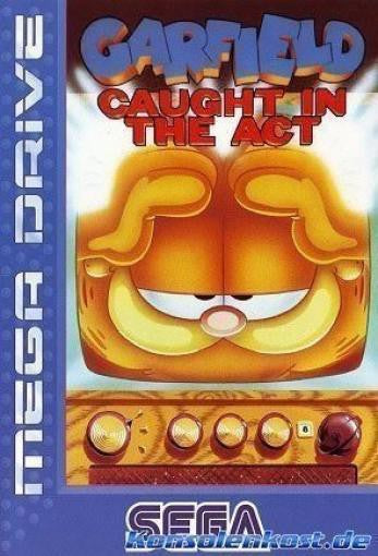 Garfield: Caught in the Act (US)