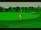 PGA Tour Golf 96
