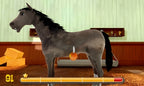 Mein Reiterhof 3D - Im Galopp ins Abenteuer – Screenshot 1