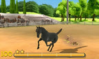 Mein Reiterhof 3D - Im Galopp ins Abenteuer – Screenshot 6