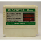 Moero!! Pro Tennis (JP)