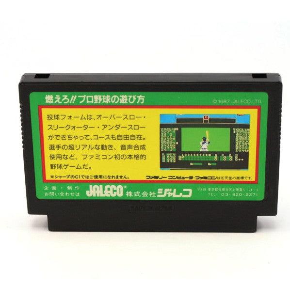 Moero!! Pro Yakyuu (JP)