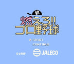 Shin Moero!! Pro Yakyuu (JP)