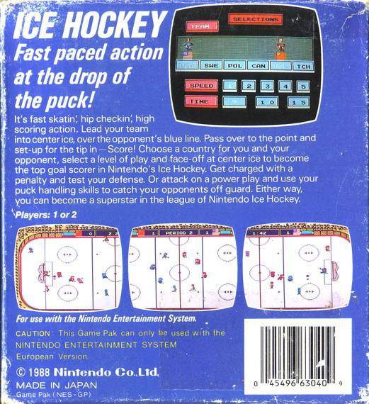 Ice Hockey Bienengräber