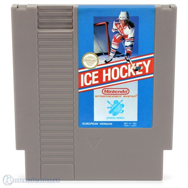 Ice Hockey Bienengräber