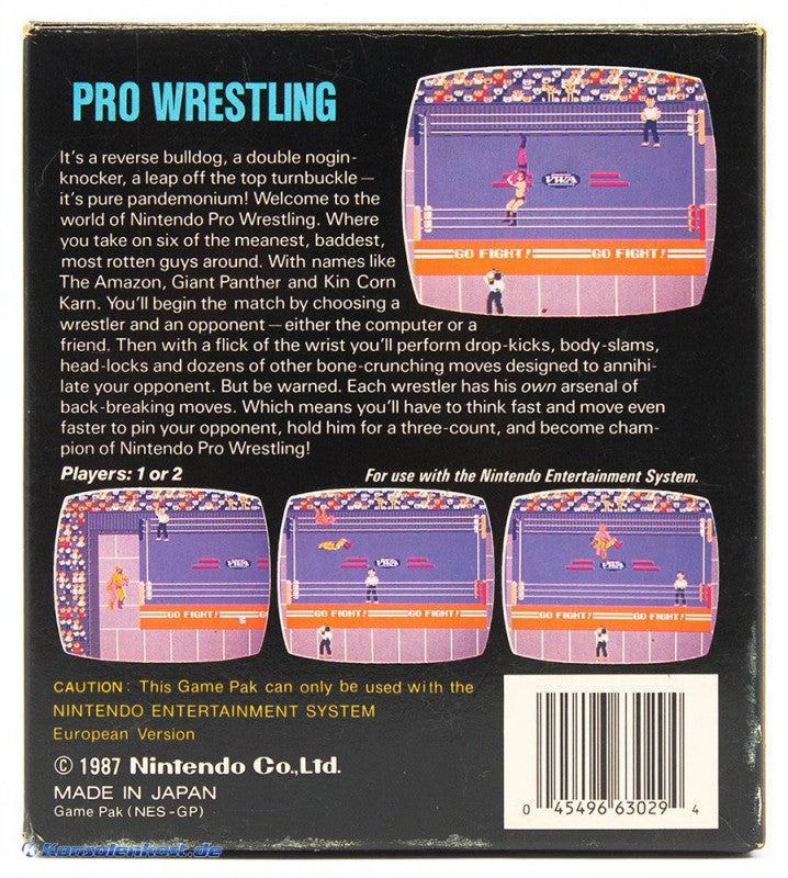 Pro Wrestling Bienengräber