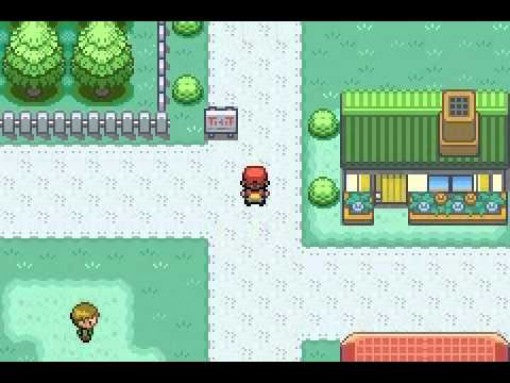 Pokemon Feuerrote Edition + Adapter (DE)