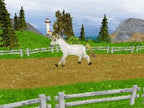 Pony Luv