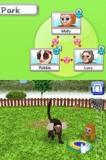 Petz: My Monkey Family