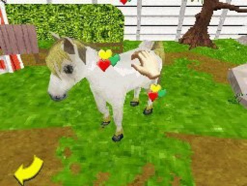 Pony Luv