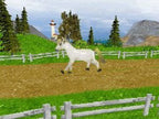 Pony Luv