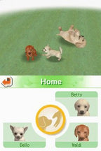 Nintendogs: Dachshund & Friends (DE)
