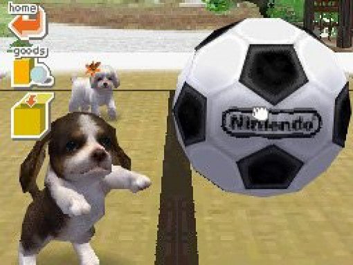 Nintendogs: Dachshund & Friends (DE)