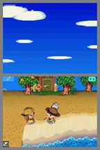 Animal Crossing: Wild World (DE)