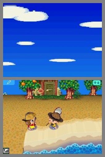 Animal Crossing: Wild World (DE)